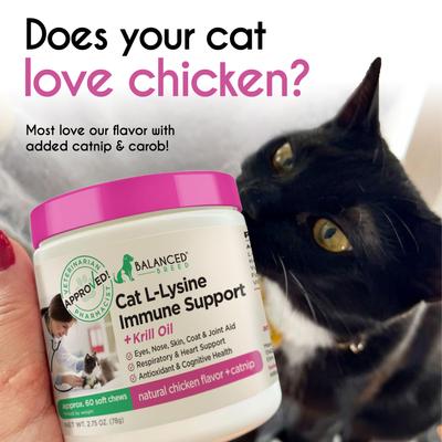 Cat L-Lysine Immune Support Natural Chicken Flavored Soft Chew Immune Supplement for Cats, 60 count
