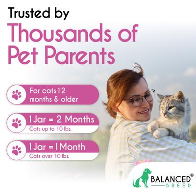 Cat L-Lysine Immune Support Natural Chicken Flavored Soft Chew Immune Supplement for Cats, 60 count