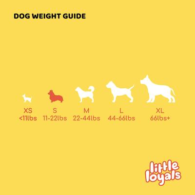 Premium Heather Tree Wood Dog Chew, Small