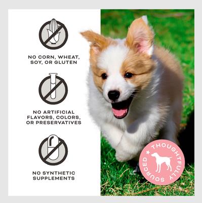 Give Pieces A Chance Beef with Broth Flavored Jerky Dog Treats, 4-oz bag