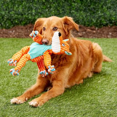 Bundle: Zesty Paws Calming Bites Peanut Butter Flavored Soft Chews Supplement, 90 count + KONG Floppy Knots Dog Toy, Fox, Medium/Large