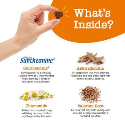 Bundle: Zesty Paws Calming Bites Peanut Butter Flavored Soft Chews Calming Supplement, 90 count + Nylabone Power Chew Textured Dog Chew Ring Toy Ring Flavor Medley, X-Large