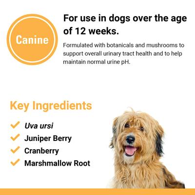 Urinary Tract Chewable Tablets Dog Supplement, 120 count