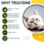 Trulysine & Immune Support Oral Powder Cat Supplement, 8-oz bottle