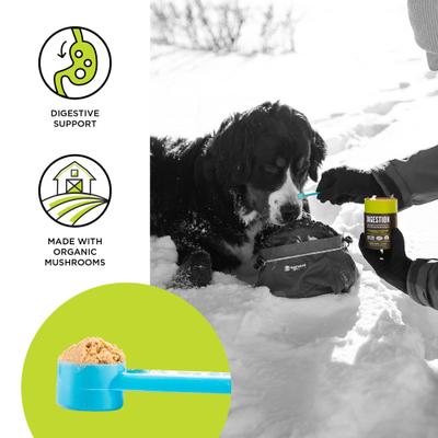 Organic Pet Superfood Digestion Daily Dog & Cat Supplement, 2.12-oz jar