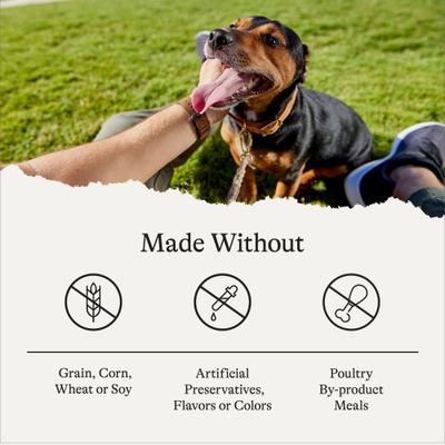 Bundle: American Journey Protein & Grains Senior Salmon, Brown Rice & Vegetables Recipe Dry Food + Poultry & Beef Variety Pack Grain-Free Canned Dog Food