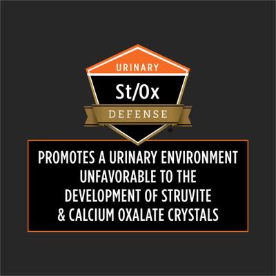 OM Overweight Management Dry Cat Food, 16-lb bag