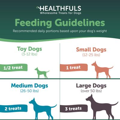 Deli Sticks Pork & Turkey Human-Grade Gluten-Free Soft & Chewy Dog Treats, 10 count bag