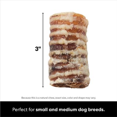 Made in USA Cheese & Bacon Flavored Filled Beef Trachea Dog Treats, 10 count