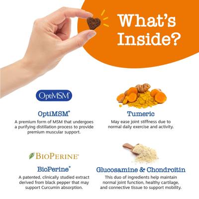 Bundle: Zesty Paws Advanced Mobility Chicken Flavored Chews Joint Supplement + Blue Buffalo Life Protection Formula Chicken & Brown Rice Recipe Dry Food for Senior Dogs