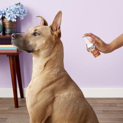 Topical Spray with Hydrocortisone 1.0% for Dogs & Cats, 2-fl oz bottle