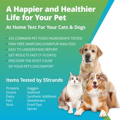 Food Intolerance Test for Dog, Cat & Small Pet