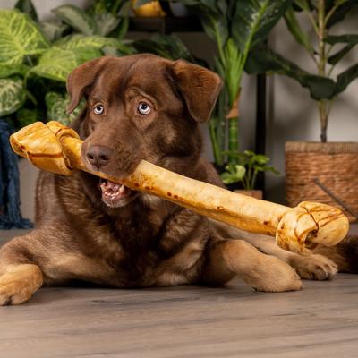 Beefhide 21-inch Chicken Flavored Dog Bones, 1 count