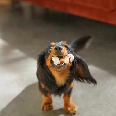 Triple Flavor Mini Bone Rawhide Dog Treats, 25 count