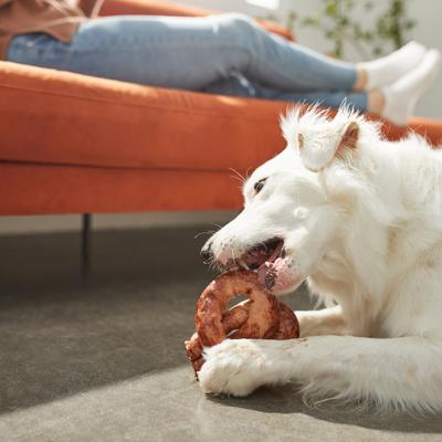 6" Beef Basted Rawhide Pretzel Dog Treat, 1 count