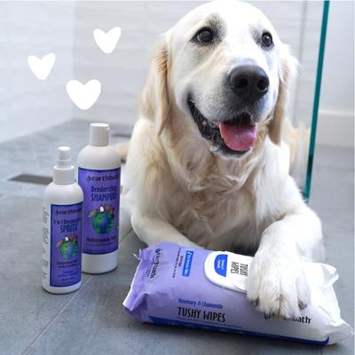 Deodorizing Rosemary Dog & Cat Shampoo, 16-fl oz bottle