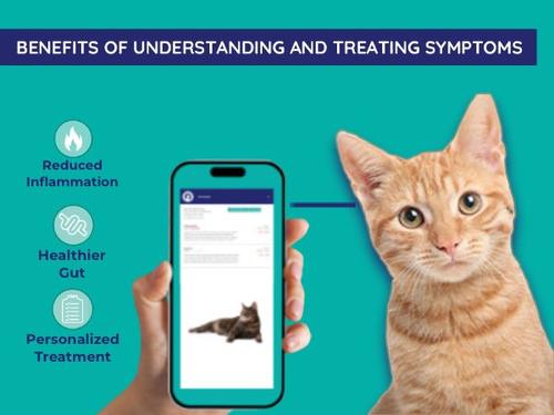 Comprehensive Gut Check Test Kit for Cats