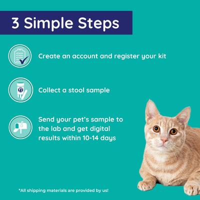 Comprehensive Gut Check Test Kit for Cats