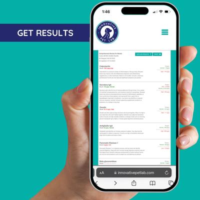 Comprehensive Gut Check Test Kit for Cats