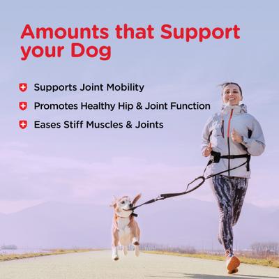 Hip & Joint Extra Strength Biscuits for Large Dogs Peanut Butter Flavor Treats, 6-lb bag