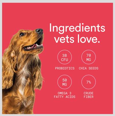 Digestive Support + Probiotics Banana & Apple Flavored Soft Chews Dog Supplement, 90 count