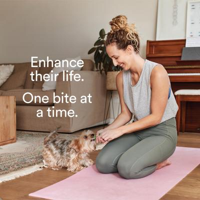 Digestive Support + Probiotics Banana & Apple Flavored Soft Chews Dog Supplement, 90 count