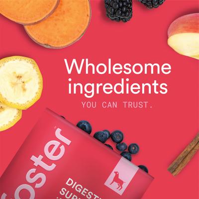 Digestive Support + Probiotics Banana & Apple Flavored Soft Chews Dog Supplement, 90 count