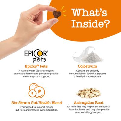 Bundle: Zesty Paws Allergy & Immune Support Lamb Flavor Soft Chew Supplement + Cranberry Bladder Bites Urinary Tract Support Chicken Flavor Chews for Dogs