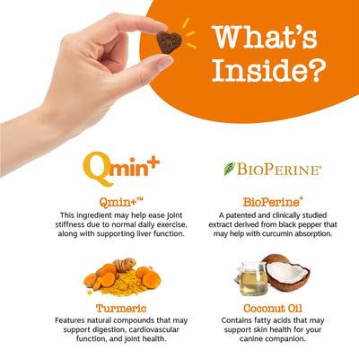 Bundle: Zesty Paws Curcumin Bites Everyday Vitality Duck Flavor Dog Supplement, 90 count + Zesty Paws Allergy & Immune Support Lamb Flavor Soft Chew Dog Supplement, 90 count