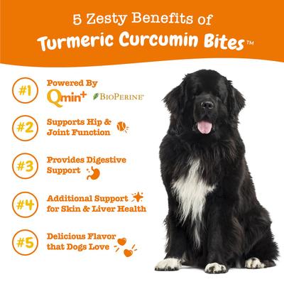 Bundle: Zesty Paws Curcumin Bites Everyday Vitality Duck Flavor Dog Supplement, 90 count + Zesty Paws Allergy & Immune Support Lamb Flavor Soft Chew Dog Supplement, 90 count
