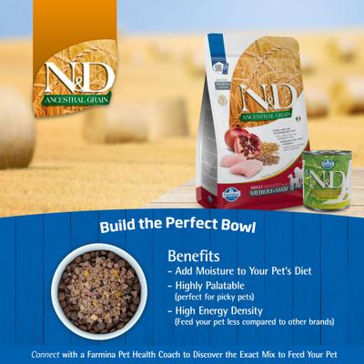 N&D Ancestral Grain Chicken & Pomegranate Medium & Maxi Adult Dry Dog Food, 5.5-lb bag