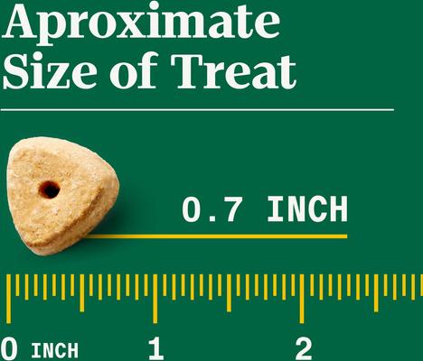 Crunchy with Real Mixed Berries Dog Treats, 10-oz bag