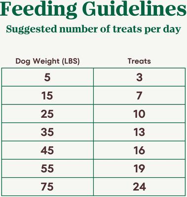 Crunchy with Real Mixed Berries Dog Treats, 10-oz bag