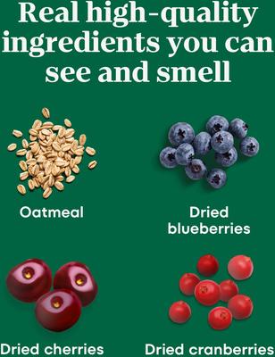 Crunchy with Real Mixed Berries Dog Treats, 10-oz bag