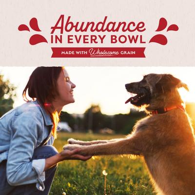 Alimento húmedo para perros Original Ultra Beef Recipe, lata de 13 oz, caja de 12