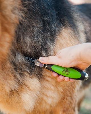 Professional Grooming Set, Pack of 3, Green