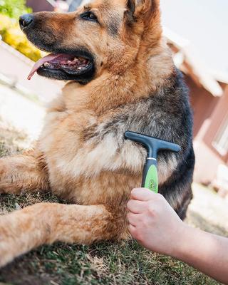 Professional Grooming Set, Pack of 3, Green