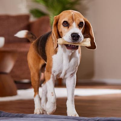 Compressed Rawhide Bone Dog Treats, 6", 6 count