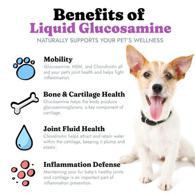 Glucosamina MSM y condroitina líquida para perros, botella de 944 ml