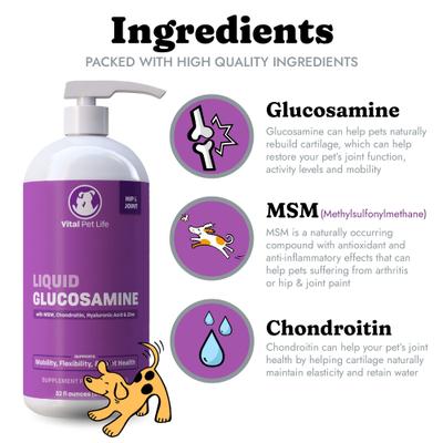 Liquid Glucosamine MSM Chondroitin for Dogs, 32-fl oz bottle