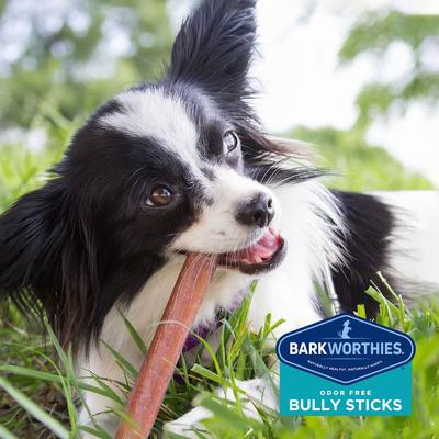 Golosina para perros Bully Sticks estándar sin olor de 6"
