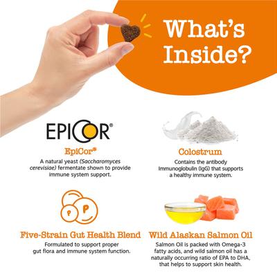 Paquete: Bocados probióticos Zesty Paws para la digestión + Bocados para el sistema inmunitario con sabor a cordero, suplemento masticable suave para perros