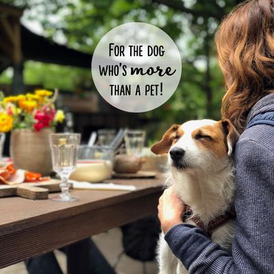 Best Buddy Bones Chicken Flavor Dog Treats, 5.5-oz bag