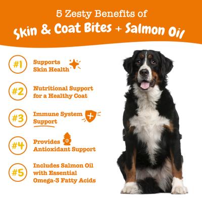 Bundle: Zesty Paws Probiotic Bites Digestion Pumpkin Flavor Soft Chews Supplement + Salmon Bites Skin & Coat Dog Supplement