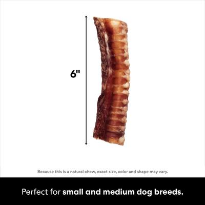 Made in USA 6" Beef Trachea Dog Treats, 3 count