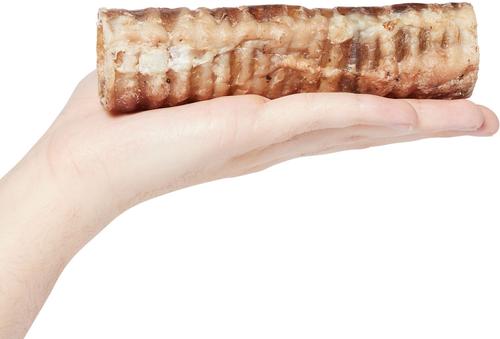 Made in USA 6" Beef Trachea Dog Treats, 3 count