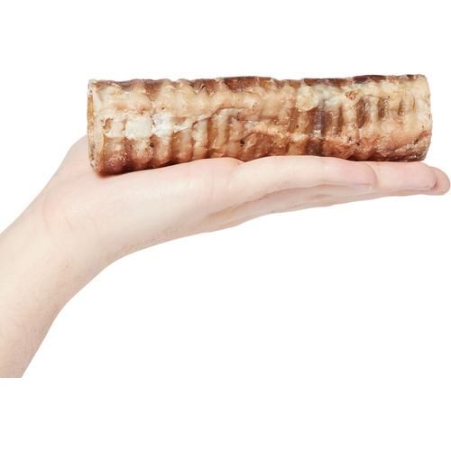 Premios para perros con tráquea de res de 6 pulgadas, hechos en EE. UU., 3 unidades