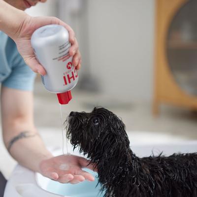 Champú para cachorros, botella de 16 onzas líquidas