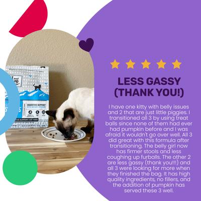 Naked Essentials Digestive Support Chicken and Pumpkin Recipe Dry Cat Food, 3.4-lb bag