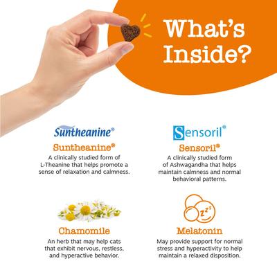 Bundle: Zesty Paws All Ages Calming Bites Behavior Bacon Flavor Cat Supplement, 60 count + Zesty Paws Hemp Elements Salmon Flavored Omega Oil + Hemp Dog & Cat Supplement, 32-oz bottle